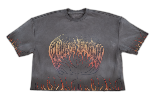 Always Prosper Through the Flames grey tee, front with the flame-script logo and flame-trimmed hem and sleeves