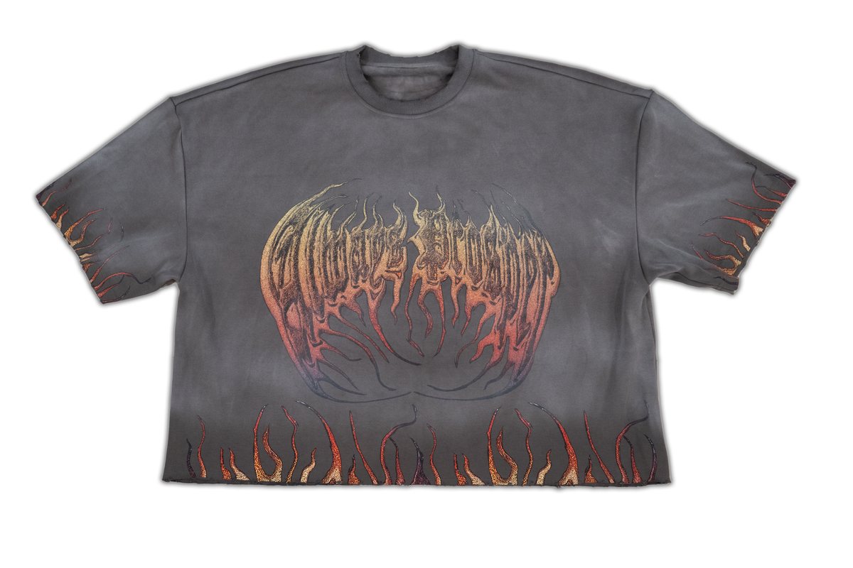 Always Prosper Through the Flames grey tee, front with the flame-script logo and flame-trimmed hem and sleeves