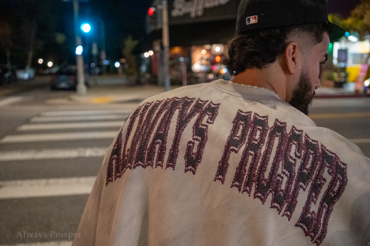 Close-up of the arched Always Prosper back print on the AP University longsleeve